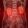Застій жовчі лікування народними засобами