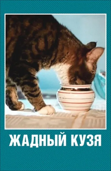Жадібний багач - мультики онлайн