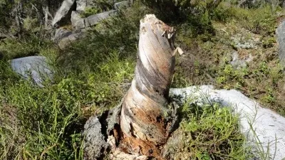 Загублений світ Воттоваара, свій маршрут (похід на гору Воттоваара) Загублений світ Воттоваара, свій маршрут