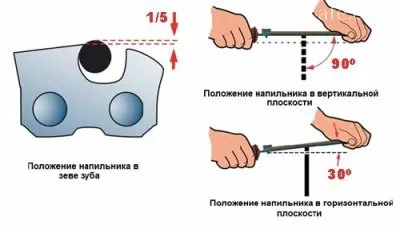 Заточка ланцюгів бензопил на верстатах і напилками своїми руками (своїми) Заточка ланцюгів бензопил на верстатах і напилками своїми руками