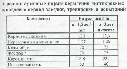 Заводський тренінг верхових коней - гіпологія - коням присвячується (тренінг верхових коней) Заводський тренінг верхових коней - гіпологія - коням присвячується