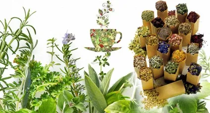 Застій жовчі лікування народними засобами