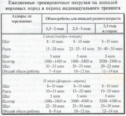 Заводський тренінг верхових коней - гіпологія - коням присвячується (коней) Заводський тренінг верхових коней - гіпологія - коням присвячується