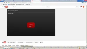 Жити не по брехні - в америці, kstati russian american news and views (жити) Жити не по брехні - в америці, kstati russian american news and views