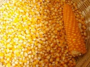 Жовчогінні продукти харчування, напої і трави (продукти) Жовчогінні продукти харчування, напої і трави