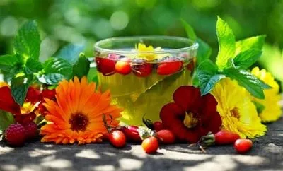 Жовчогінні продукти харчування при застої жовчі (харчування) Жовчогінні продукти харчування при застої жовчі
