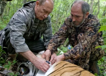 Тварини путина хто вони