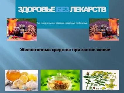 Жовчогінні продукти харчування при застої жовчі (продукти) Жовчогінні продукти харчування при застої жовчі