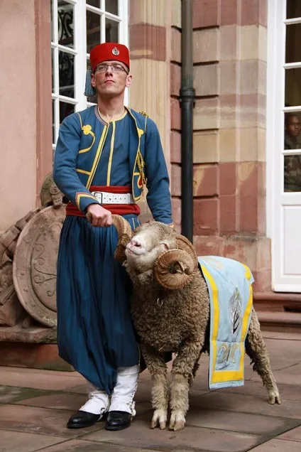 Тварини - талісмани військових частин, si vis pacem, para bellum! (Корпусу морської піхоти) Тварини - талісмани військових частин, si vis pacem, para bellum!