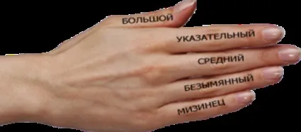 Значення пальців на руках () Значення пальців на руках
