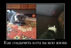 10 Самих неймовірних операцій з пересадки обличчя в історії (операцію пересадки обличчя) 10 Самих неймовірних операцій з пересадки обличчя в історії