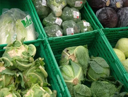 10 Продуктів, які перемагають рак, харчування і дієти, кухня, аргументи і факти