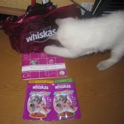 2 Упаковки безкоштовного whiskas для кошеняти, м'ячик, подарункова упаковка і брошура трохи про pedigree (whiskas) 2 Упаковки безкоштовного whiskas для кошеняти, м'ячик, подарункова упаковка і брошура трохи про pedigree