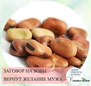 15 Заговори, щоб чоловік любив як в молодості (любив) 15 Заговори, щоб чоловік любив як в молодості