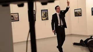 11 чарівних померанских шпіців