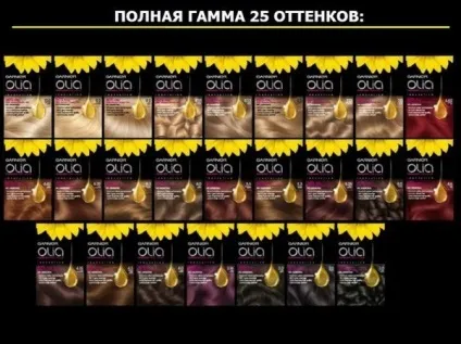 Фарба для волосся гарньер як виглядає результат фарбування фарбою гарньер на фото, відео-огляд (фарба для волосся) Фарба для волосся гарньер як виглядає результат фарбування фарбою гарньер на фото, відео-огляд