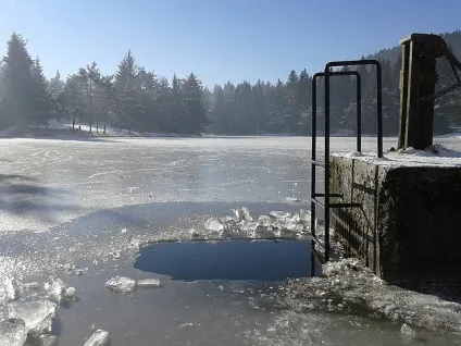 Водохресні купання, благоздравніца (користь і шкода водохресних купань) Водохресні купання, благоздравніца