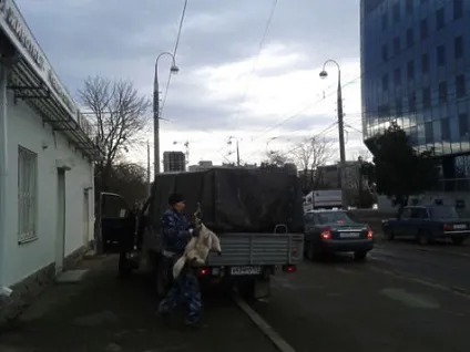 Краснодарські шкуродери розстріляли 40 собак на очах перехожих - суспільство
