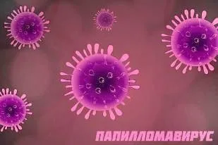 Типи ВПЛ у жінок які найнебезпечніші для організму (типи) Типи ВПЛ у жінок які найнебезпечніші для організму