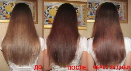Тонуючий шампунь для волосся відгуки про засоби тонування для русявих, мелірованого, сивого, темних