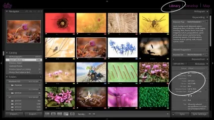 Тонка настройка lightroom під себе - Григорій пожванов