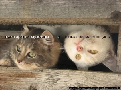 Точка зору