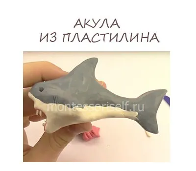 Акула з пластиліну своїми руками (пластиліну) Акула з пластиліну своїми руками