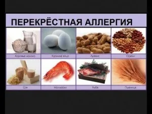 Алергія на мак лікування і профілактика (алергія) Алергія на мак лікування і профілактика