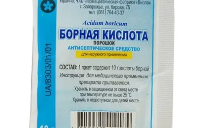 Американський тарган як виглядає в квартирі, чорні що їдять, величезні фото (виглядає) Американський тарган як виглядає в квартирі, чорні що їдять, величезні фото