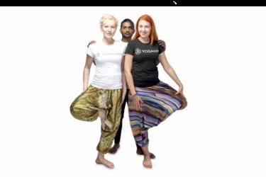 Асани йоги, yoga sutra
