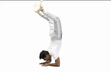 Асани йоги, yoga sutra