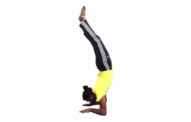 Асани йоги, yoga sutra
