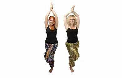 Асани йоги, yoga sutra