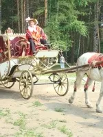 Автокапріз - прокат карет - ексклюзив в Запоріжжі