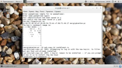 Авторизація по ключу ssh, losst (losst) Авторизація по ключу ssh, losst