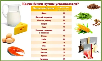 Білковий дефіцит причини і ефективне лікування