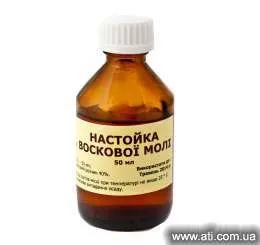 Бізнес-ідея - розведення личинок воскової молі (воскової) Бізнес-ідея - розведення личинок воскової молі