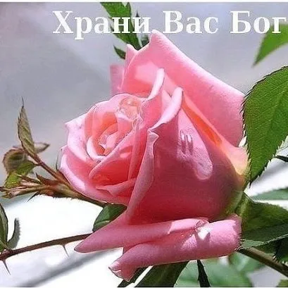 Блоги - еспаво (міжнародна асоціація працівників світла) () Блоги - еспаво (міжнародна асоціація працівників світла)