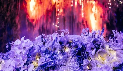 Блискуча весілля народження всесвіту (весілля) Блискуча весілля народження всесвіту