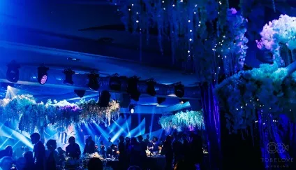 Блискуча весілля народження всесвіту (весілля) Блискуча весілля народження всесвіту