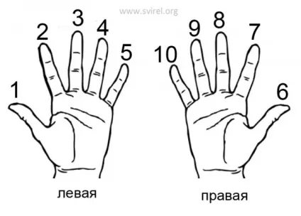 Блокфлейта для початківців