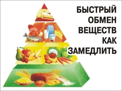 Швидкий обмін речовин, alfa vita (речовин) Швидкий обмін речовин, alfa vita