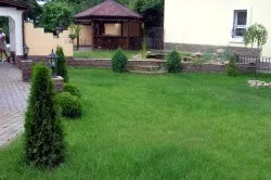 Боротьба з мохом на газоні поява моху, способи боротьби