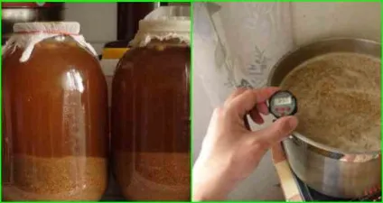 Брага для віскі своїми руками цікаві і важливі моменти