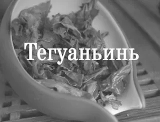 Чайний п'яниця путівник по чаю Тегуаньінь (чайний) Чайний п'яниця путівник по чаю Тегуаньінь
