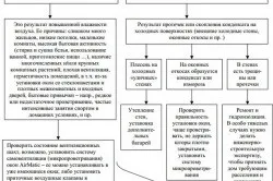 Чим обробити дерево від цвілі способи боротьби (дерево) Чим обробити дерево від цвілі способи боротьби