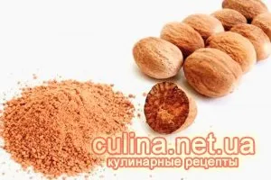Чим можна замінити фенхель (можна) Чим можна замінити фенхель