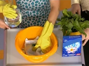 Чим відіпрати соєвий соус з одягу