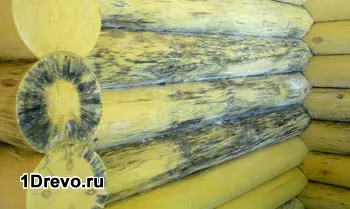 Чим краще покрити зруб лазні зовні огляд захисних просочень і правила обробки (лазні) Чим краще покрити зруб лазні зовні огляд захисних просочень і правила обробки