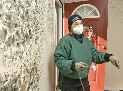 Чим відмити шви між плиткою у ванній відбілити шви між кахлем (відбілити) Чим відмити шви між плиткою у ванній відбілити шви між кахлем
